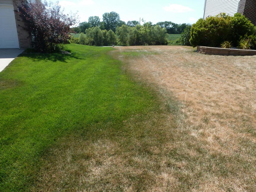 irrigation problem lawns montana
