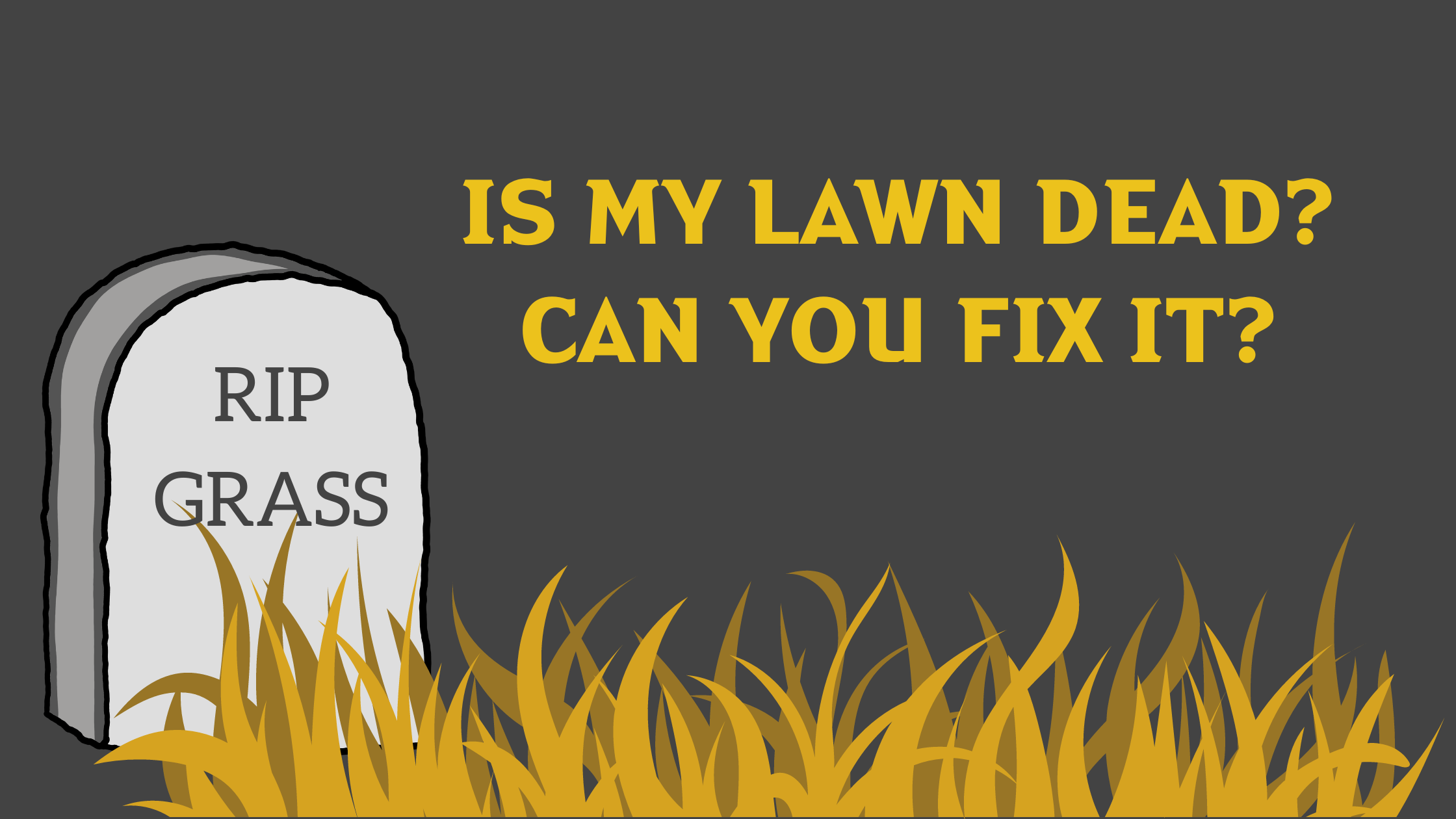 Is My Lawn Dead? Can You Fix It?