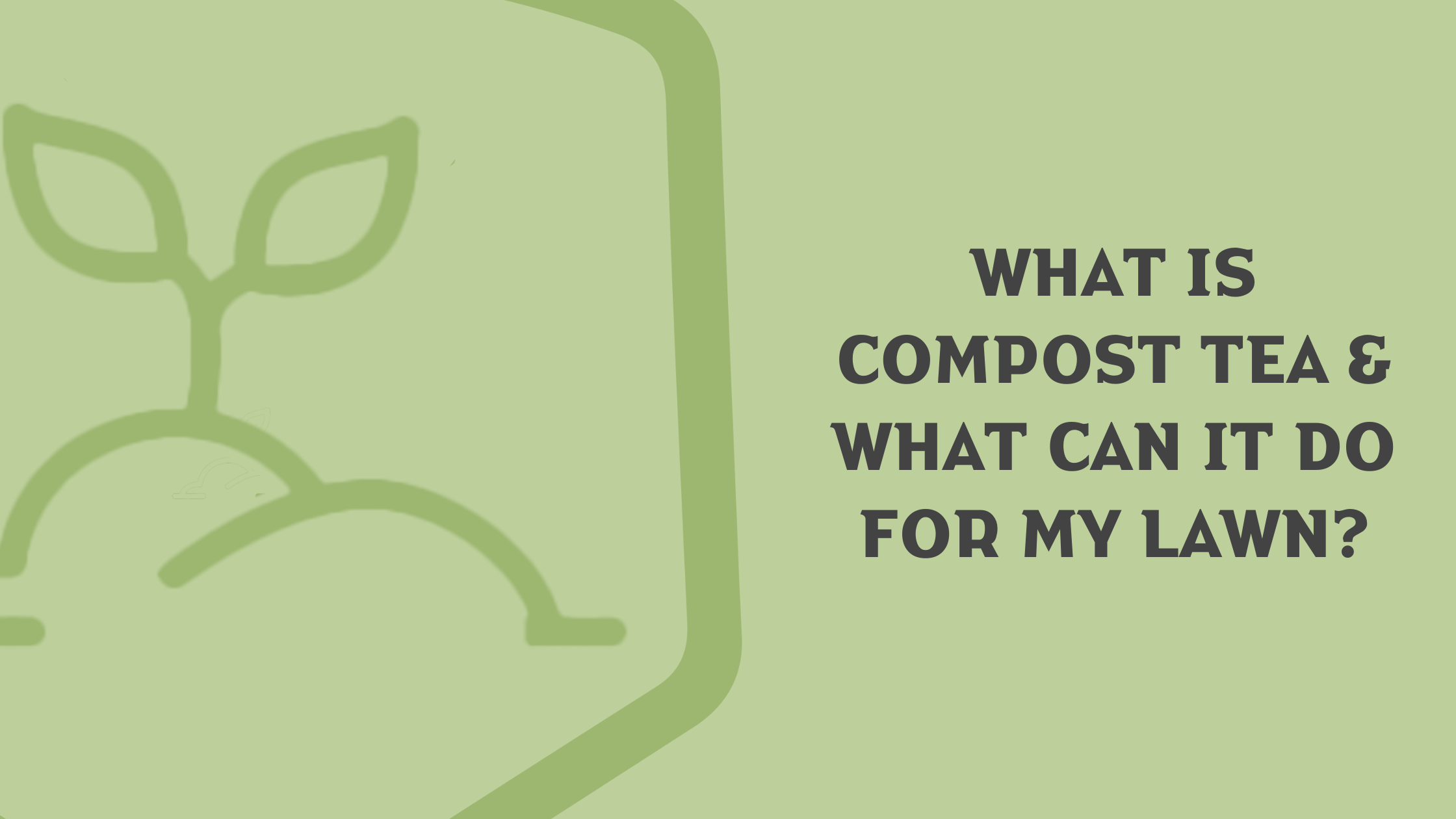 What is Compost Tea?