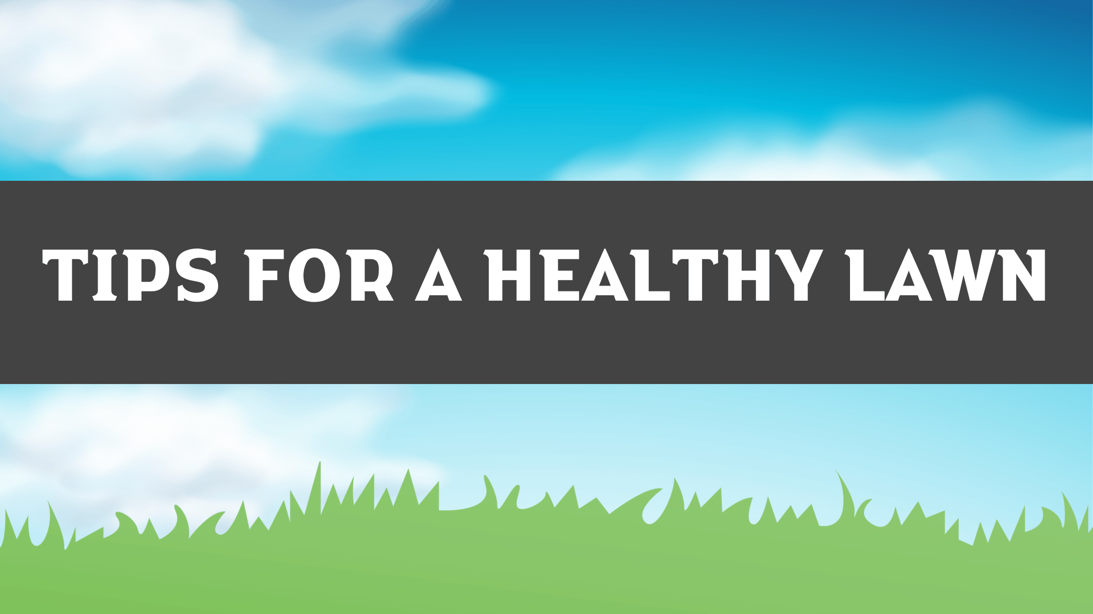 Tips for a Healthy Lawn