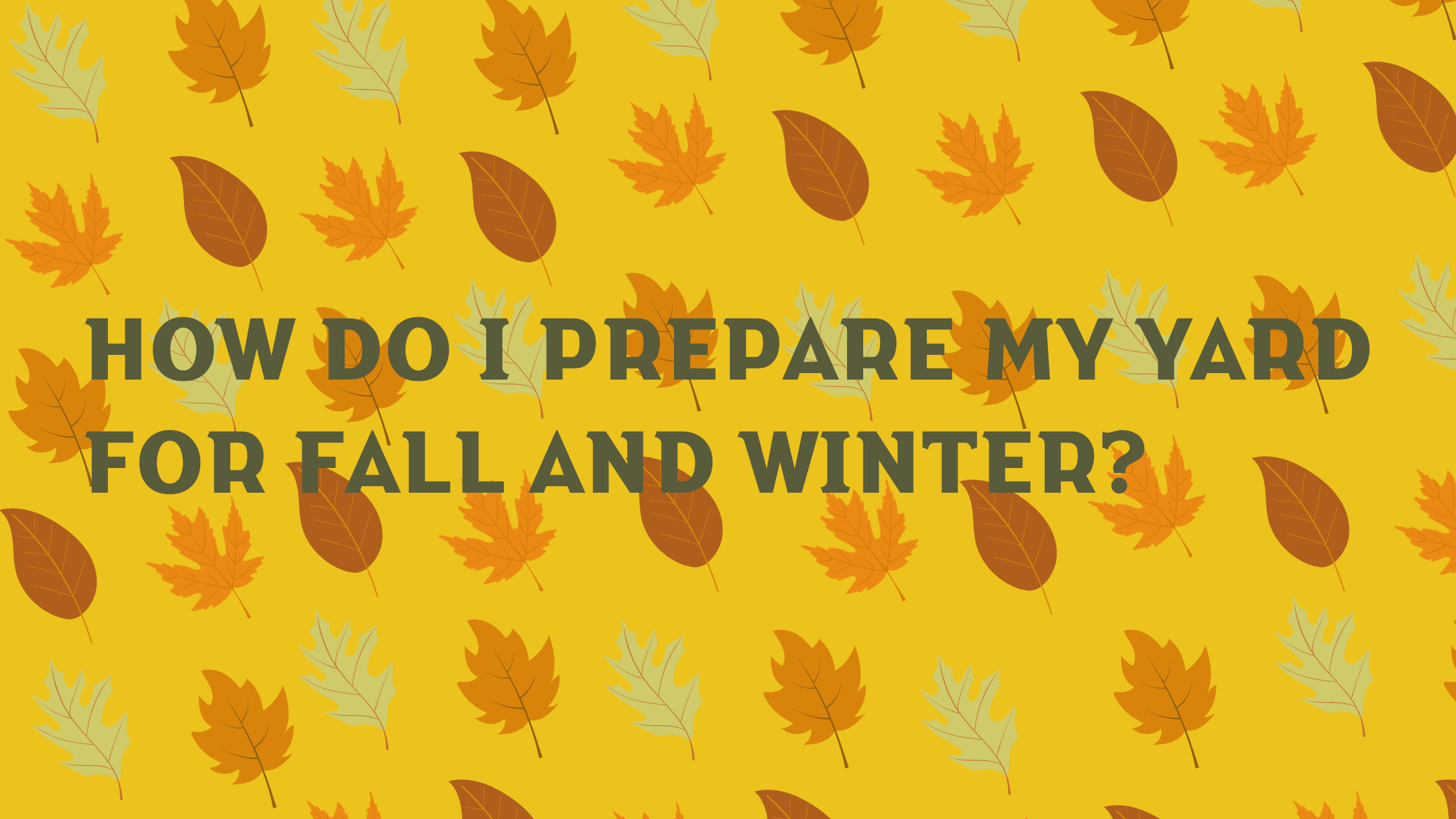 How Do I Prepare My Yard for Fall & Winter?