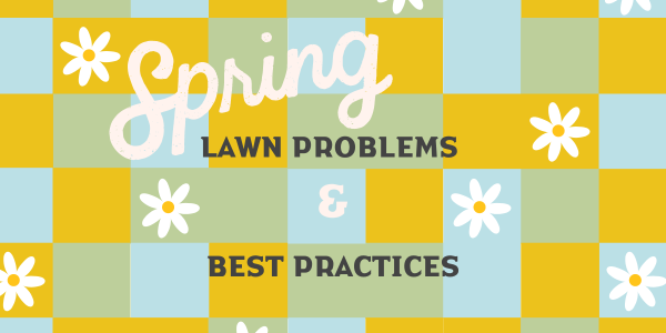 Spring Lawn Problems and Best Practices