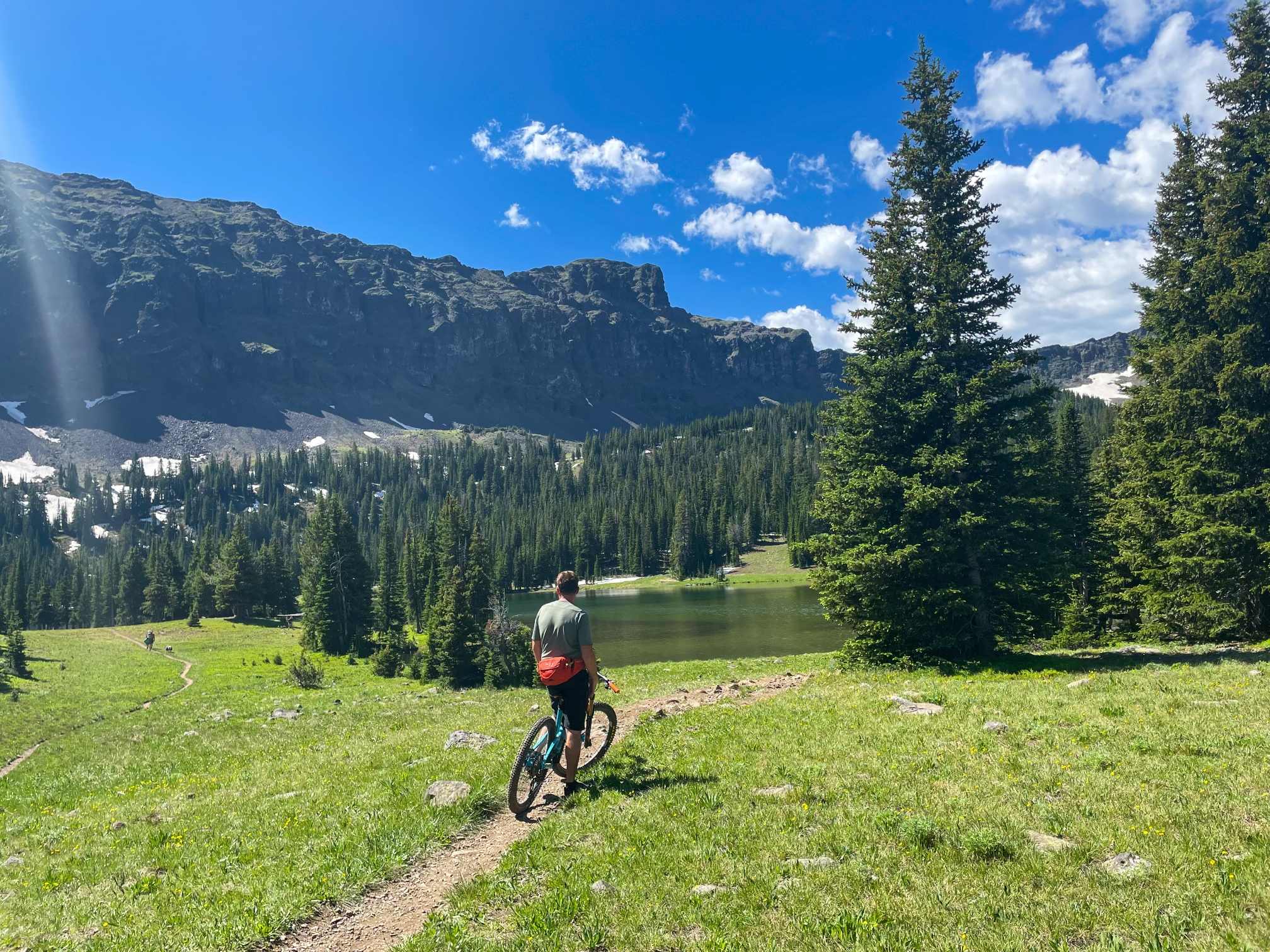 How to Keep Weeds Out of Your Rock Beds? - Yard Guard Lawn and Tree Care