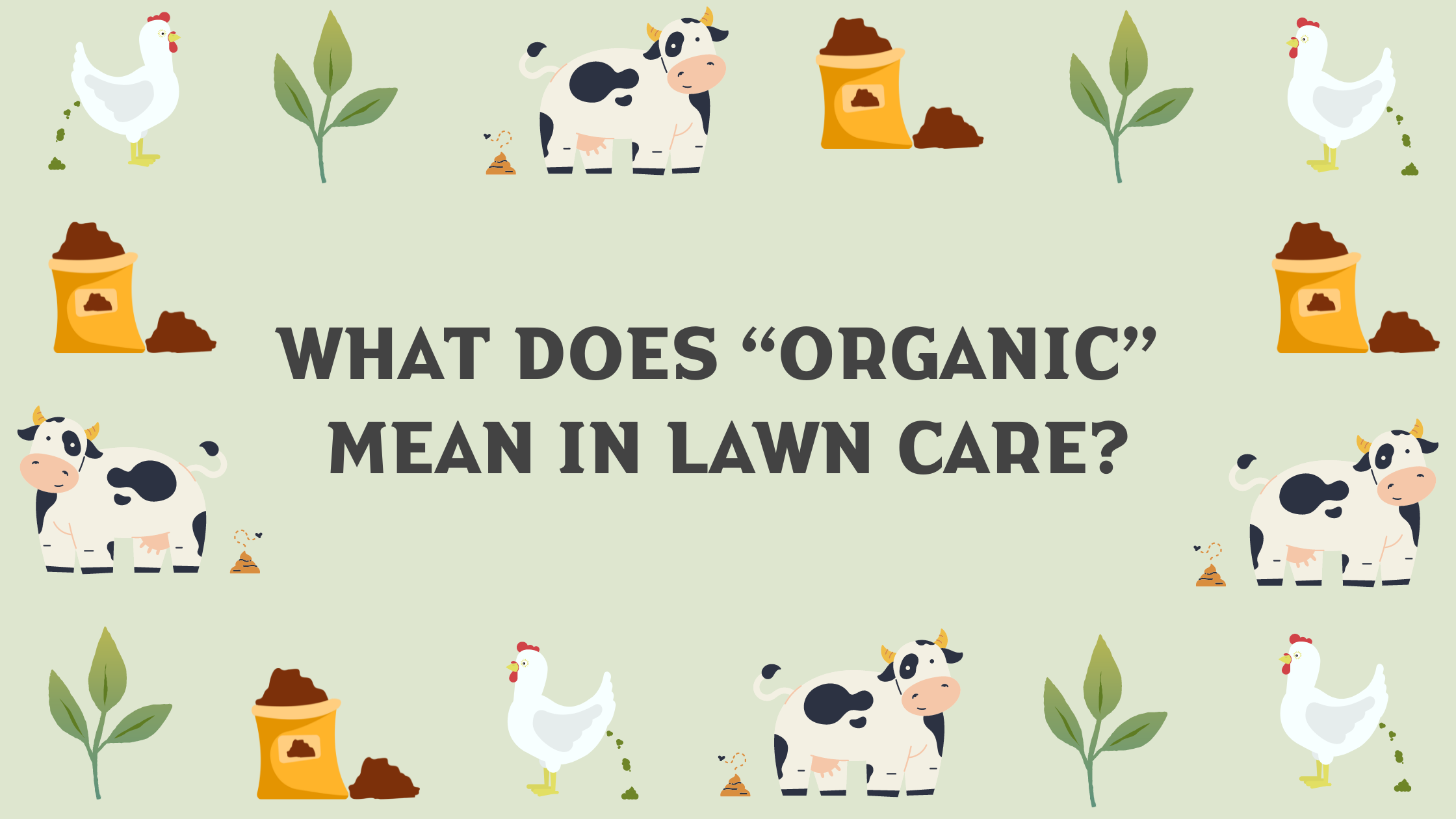 What Does “Organic” Mean for Lawn Care