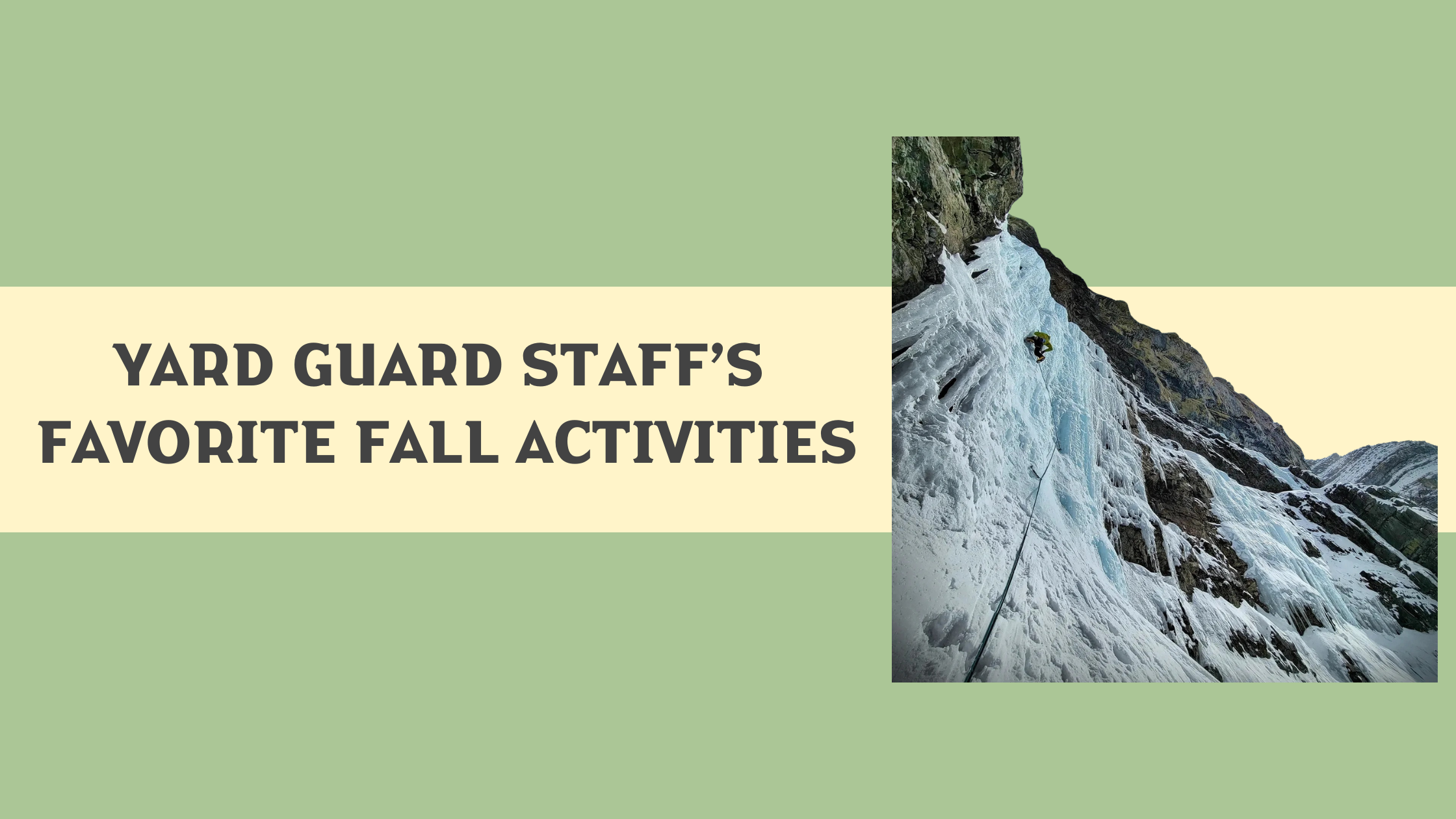 Yard Guard Staff’s Favorite Fall Activities