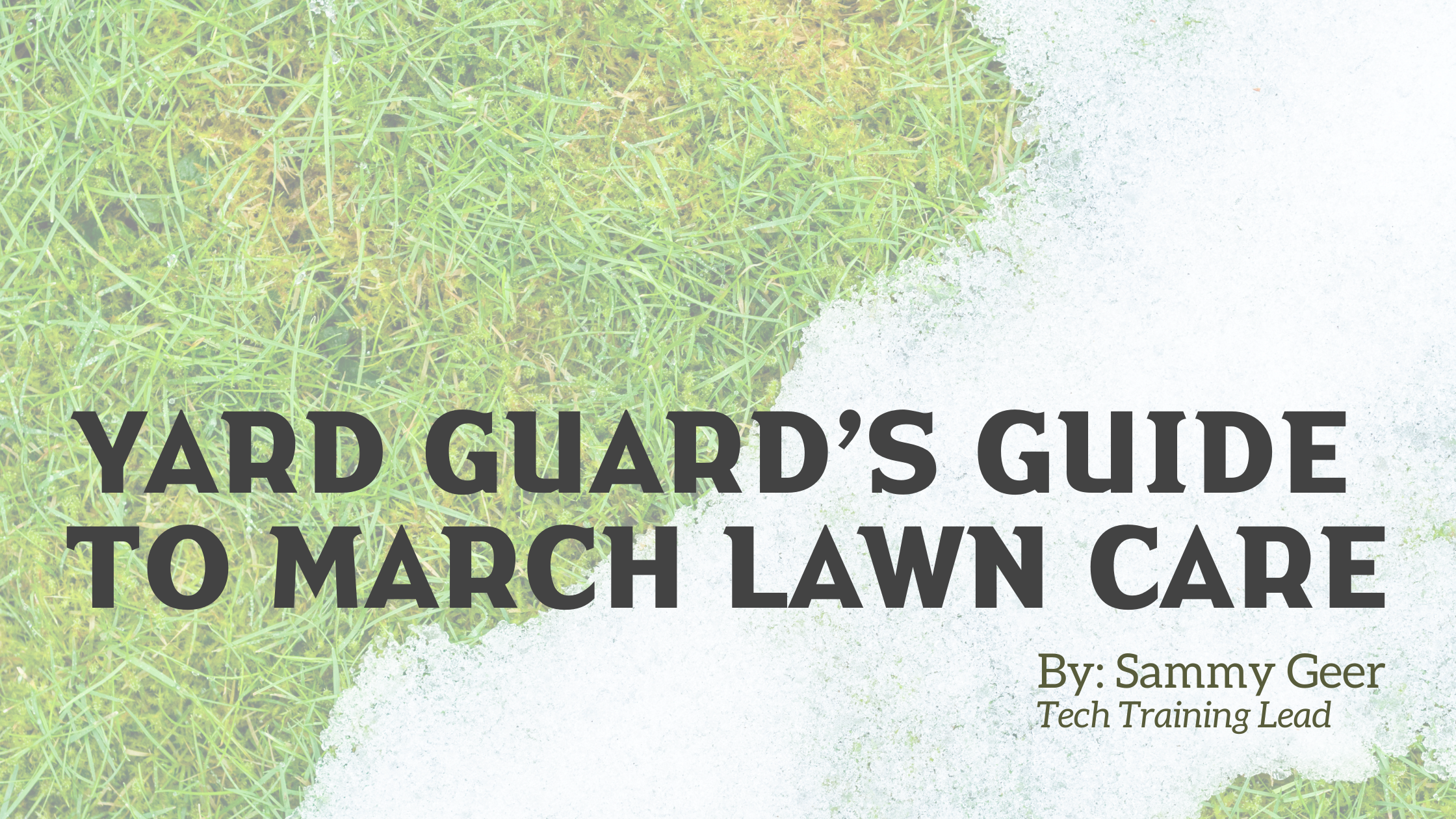 March Lawn Care