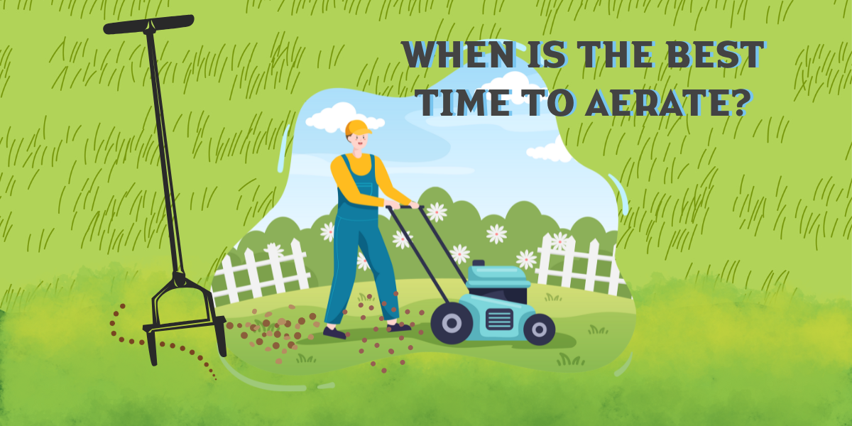 When Is the Best Time to Aerate Your Lawn?