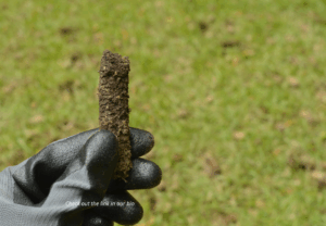 Core Aeration