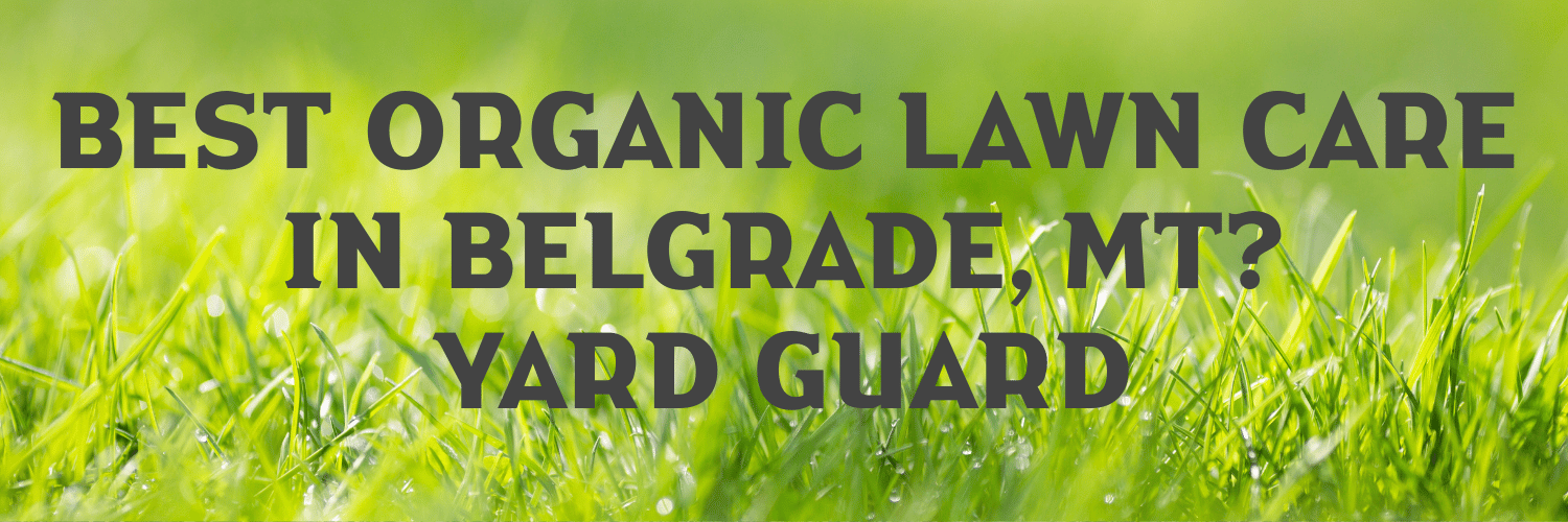 Best Organic Lawn Care in Belgrade, MT? Yard Guard