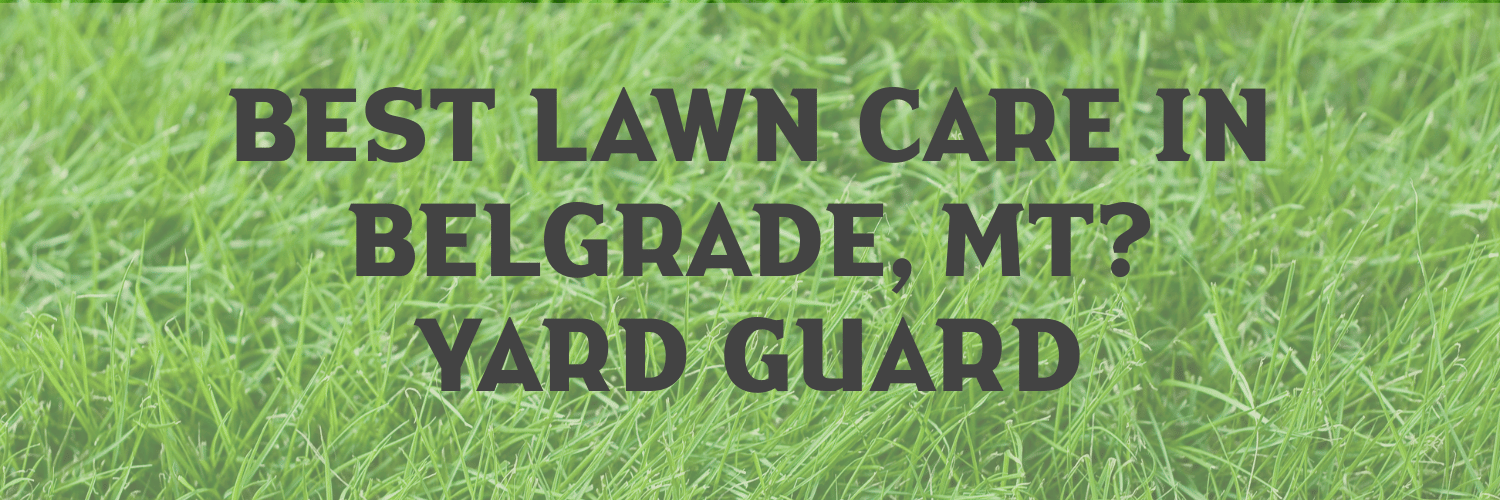 Best Lawn Care in Belgrade, MT? Yard Guard