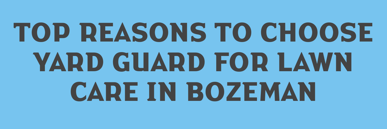 Top Reasons to Choose Yard Guard for Lawn Care in Bozeman